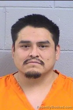 Mugshot of Prosperous Domingo booked in San Juan County, New Mexico on August 9, 2026