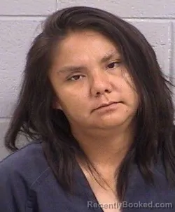 Mugshot of Tyfany Daisy Martin booked in San Juan County, New Mexico on June 26, 2026