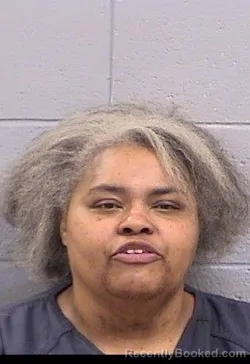 Mugshot of Tamica Mayes booked in San Juan County, New Mexico on May 3, 2026
