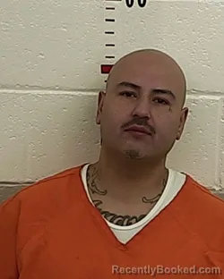Mugshot of LUIS F SANCHEZ