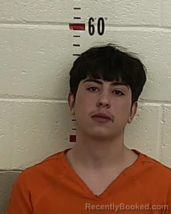 Mugshot of JONAH ANGEL