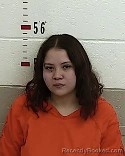 Mugshot of HELENA VALDEZ