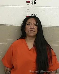 Mugshot of JOLENE SENA