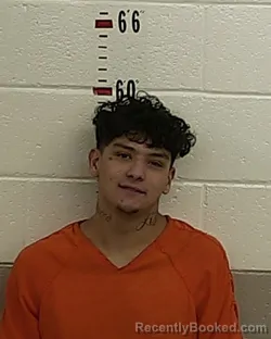 Mugshot of JUAN L GALLEGOS