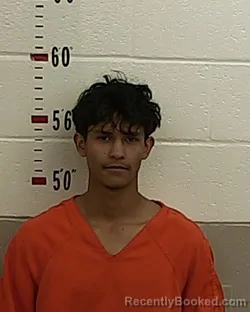 Mugshot of ADRIAN MARES