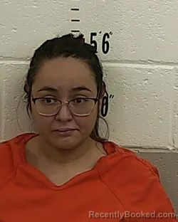 Mugshot of ROCHELLE A ORTIZ