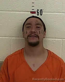 Mugshot of HENRY J LUCERO