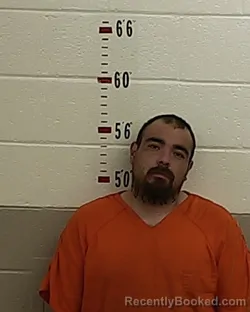 Mugshot of DAVID DANIEL MAES