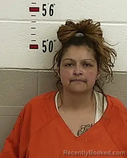 Booking photo from San Miguel County, New Mexico