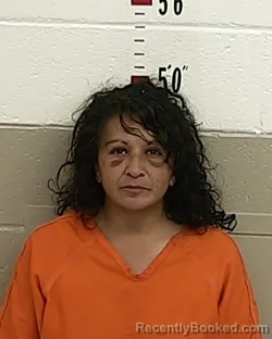 Mugshot of SONIA ULIBARRI