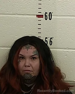 Booking photo from San Miguel County, New Mexico