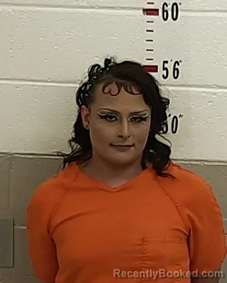 Mugshot of DONOVAN PALMER