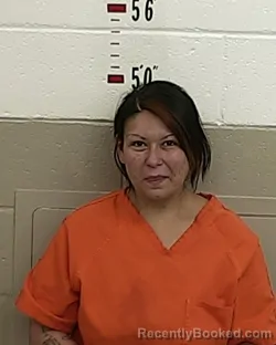 Mugshot of KASANDRA ROMERO