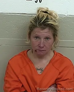 Mugshot of LORIANN GARCIA