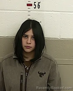 Mugshot of KRYSTAL ARAGON
