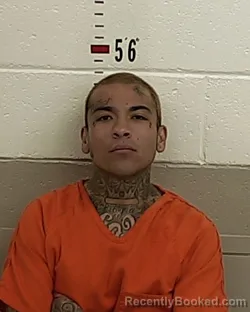 Mugshot of ROBERT VIGIL