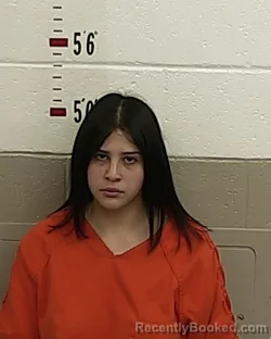 Mugshot of KRYSTAL ARAGON