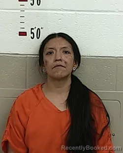 Mugshot of JOLENE SENA