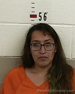Mugshot of DOLORES JACQUEZ