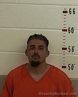 Mugshot of HENRY FLORES
