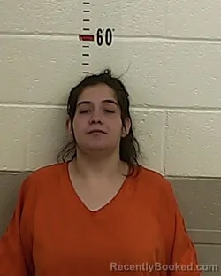 Mugshot of ALYCIA E LUCERO