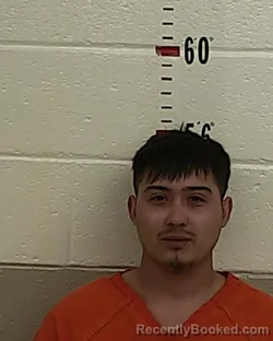 Mugshot of TIMOTHY GALLEGOS