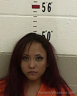 Mugshot of DAWNIELLE RAMON TRUJILLO