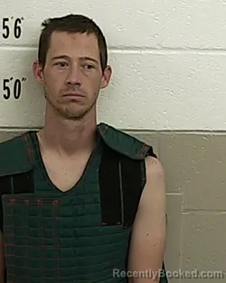 Mugshot of BILL T WILLITS