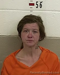 Mugshot of ASHLEY LIBBY