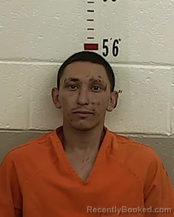 Mugshot of PRESTON L ULIBARRI