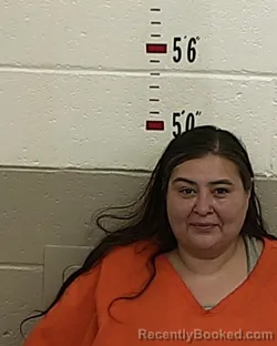 Mugshot of DORA JOYCE BACA booked in San Miguel County, New Mexico on March 16, 2026