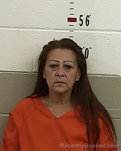 Mugshot of ELIZABETH M MARTIN booked in San Miguel County, New Mexico on March 17, 2026