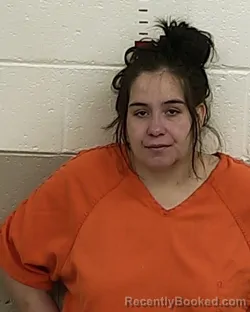 Mugshot of ALYCIA E LUCERO booked in San Miguel County, New Mexico on March 17, 2026