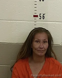 Mugshot of LORILEE VALENTINA TRUJILLO booked in San Miguel County, New Mexico on March 18, 2026