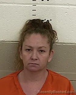 Mugshot of ERIKA ROMERO booked in San Miguel County, New Mexico on March 20, 2026