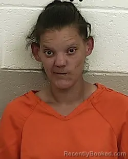 Mugshot of DANIKA ROMERO booked in San Miguel County, New Mexico on March 20, 2026