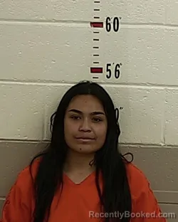 Mugshot of JEANNETTE RAMIREZ booked in San Miguel County, New Mexico on March 24, 2026