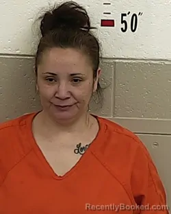 Mugshot of TRUDY P LUCERO booked in San Miguel County, New Mexico on March 25, 2026