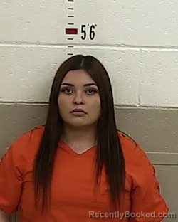 Mugshot of ALEXSYS GREENIER booked in San Miguel County, New Mexico on March 26, 2026