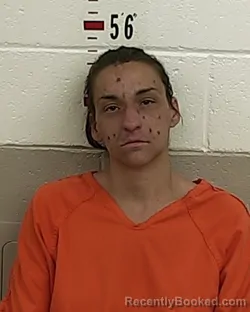 Mugshot of TARA AMBER ROMERO booked in San Miguel County, New Mexico on March 26, 2026