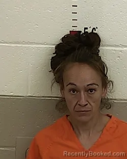 Mugshot of AMANDA A PATRON booked in San Miguel County, New Mexico on March 29, 2026