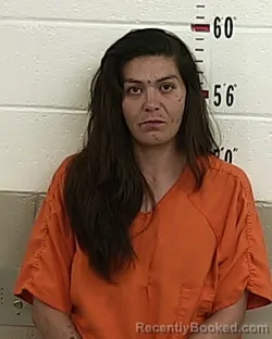 Mugshot of ALEXIARAY ARCHULETA booked in San Miguel County, New Mexico on March 29, 2026