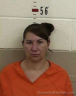 Mugshot of ASHLEY FERNANDEZ booked in San Miguel County, New Mexico on March 30, 2026