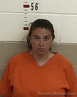 Mugshot of DESIREE ROMERO booked in San Miguel County, New Mexico on March 30, 2026