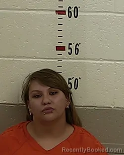 Mugshot of LORENA GALLEGOS booked in San Miguel County, New Mexico on March 31, 2026