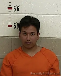 Mugshot of HENRY DINGMAN booked in San Miguel County, New Mexico on April 8, 2026