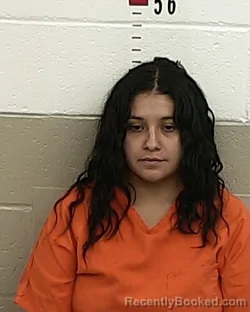 Mugshot of ROSALIE VIGIL booked in San Miguel County, New Mexico on April 10, 2026