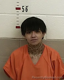 Mugshot of DORIS JOEL GONZALES booked in San Miguel County, New Mexico on April 10, 2026