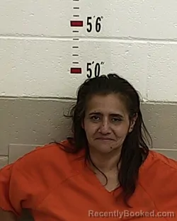 Mugshot of FELICIA MARTINEZ booked in San Miguel County, New Mexico on April 17, 2026