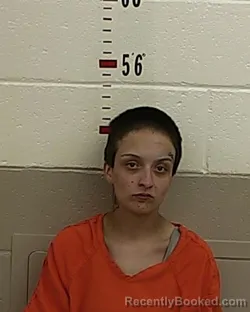 Mugshot of ANGELICA ALCAZAR booked in San Miguel County, New Mexico on April 18, 2026